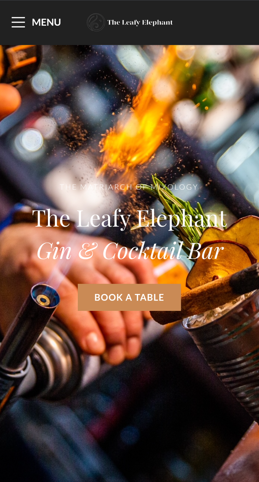 Leafy Elephant Website Mobile Screenshot